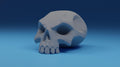 Sea Of Thieves Foul Bounty Skull - DIY Prop Kit